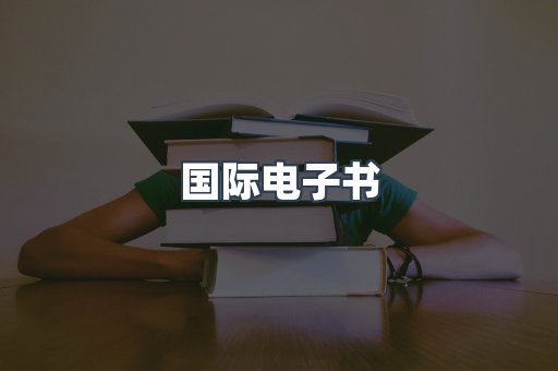 国际电子书
